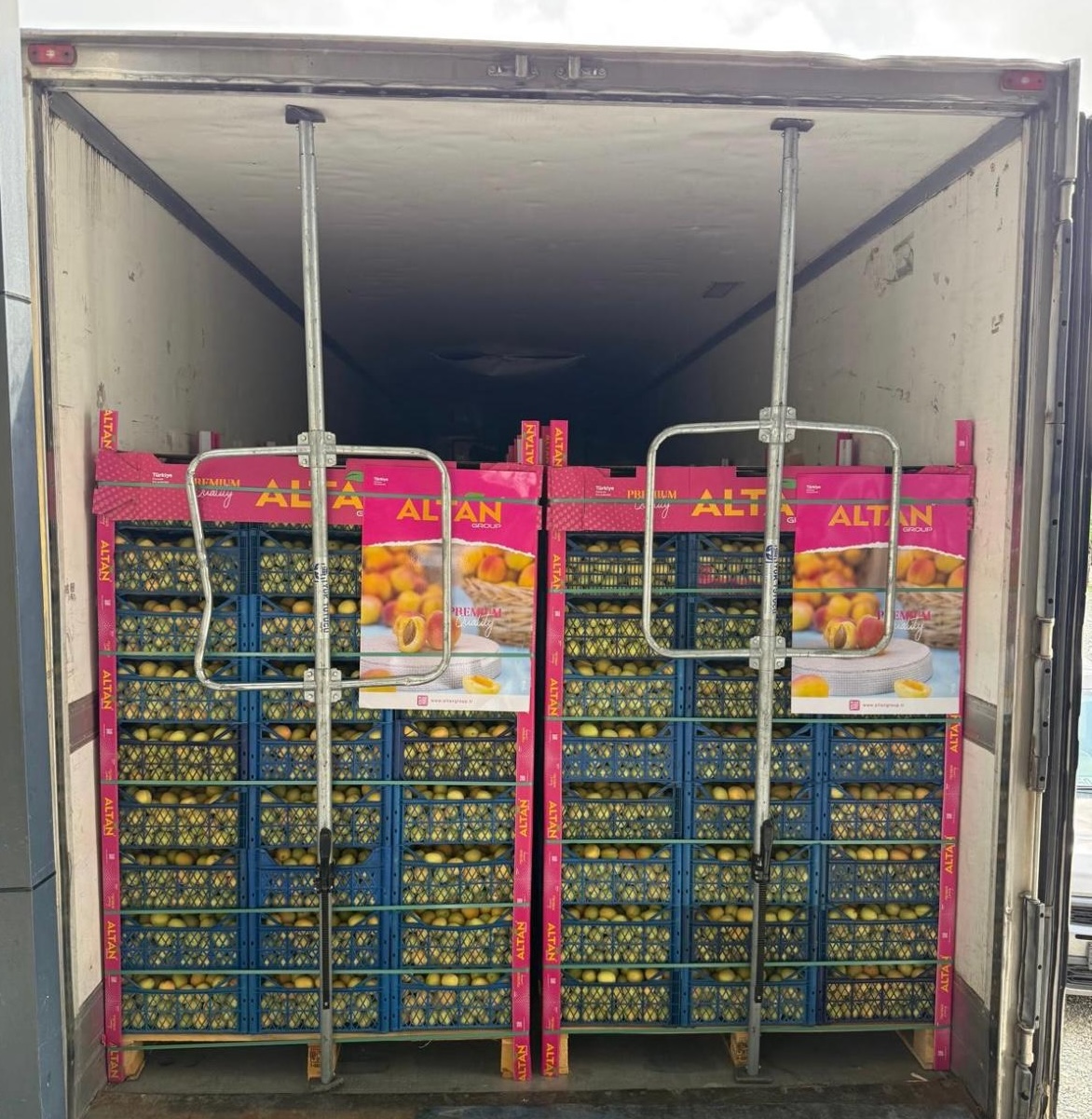 Your solution partner in wholesale fruits: ALTAN GROUP “We ship our fruits wholesale to all over the world”